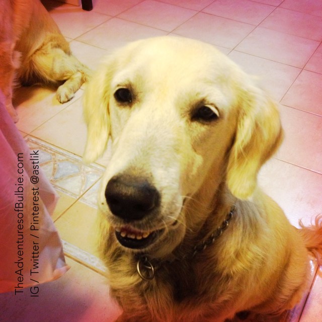 guess what fruits we had after dinner?