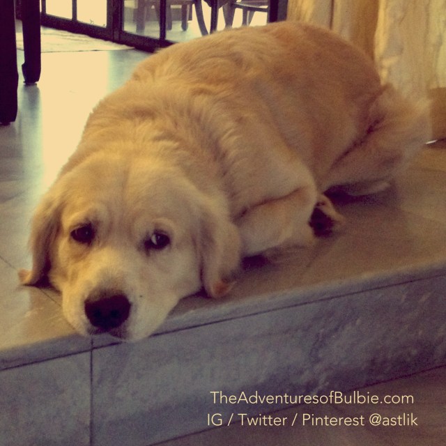 "but it's cold and wet outside"