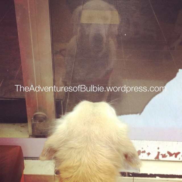 Butter was thoroughly intrigued